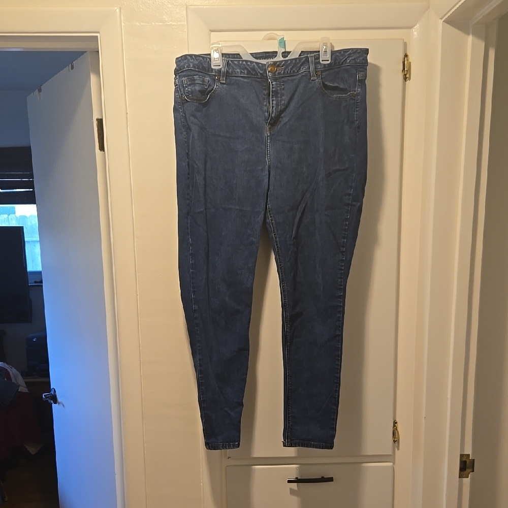 Lane Bryant Blue Skinny Jeans with Modern Fit
